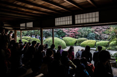 『秋劇場』