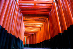朝の千本鳥居で　Ⅲ