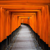 Welcome to Senbontorii !　Ⅱ
