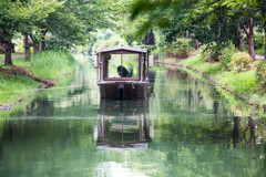 夏の伏見景　Ⅱ