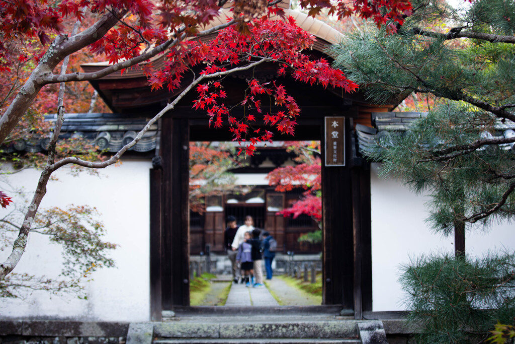 晩秋の一休寺　Ⅱ