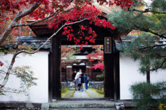 晩秋の一休寺　Ⅱ