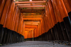 『千本鳥居へようこそ』①