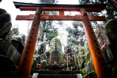 稲荷山で。①
