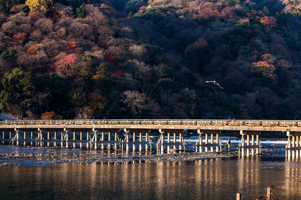 晩秋の嵐山　Ⅴ