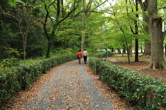 秋の散歩路