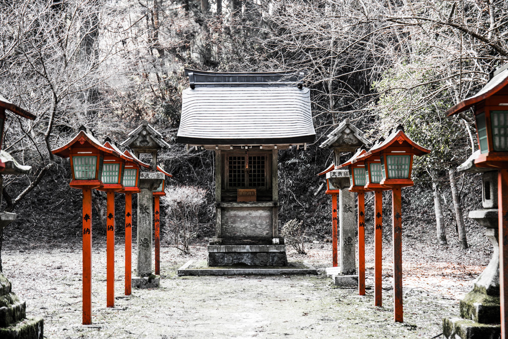 比叡山延暦寺西塔で　Ⅳ