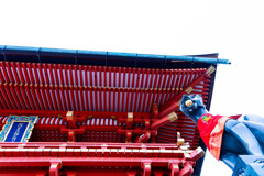 伏見稲荷大社 楼門と白狐