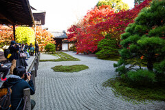 天授庵で愛でる紅葉　Ⅸ