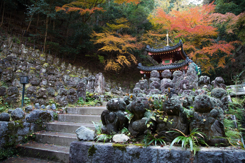 愛宕念仏寺・2014秋　Ⅰ