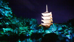 東寺の光の祭