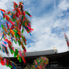 増上寺の七夕