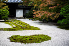 天授庵庭園の秋　Ⅱ