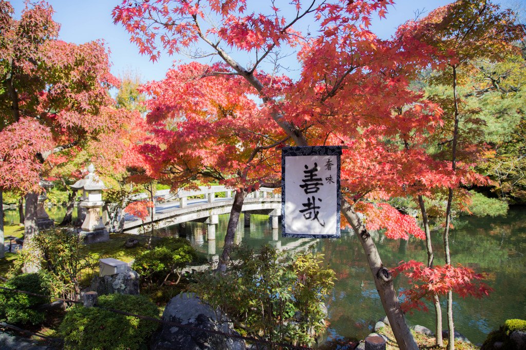 永観堂・2014秋　Ⅴ