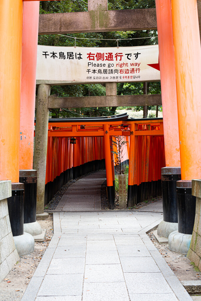 千本鳥居　Ⅲ