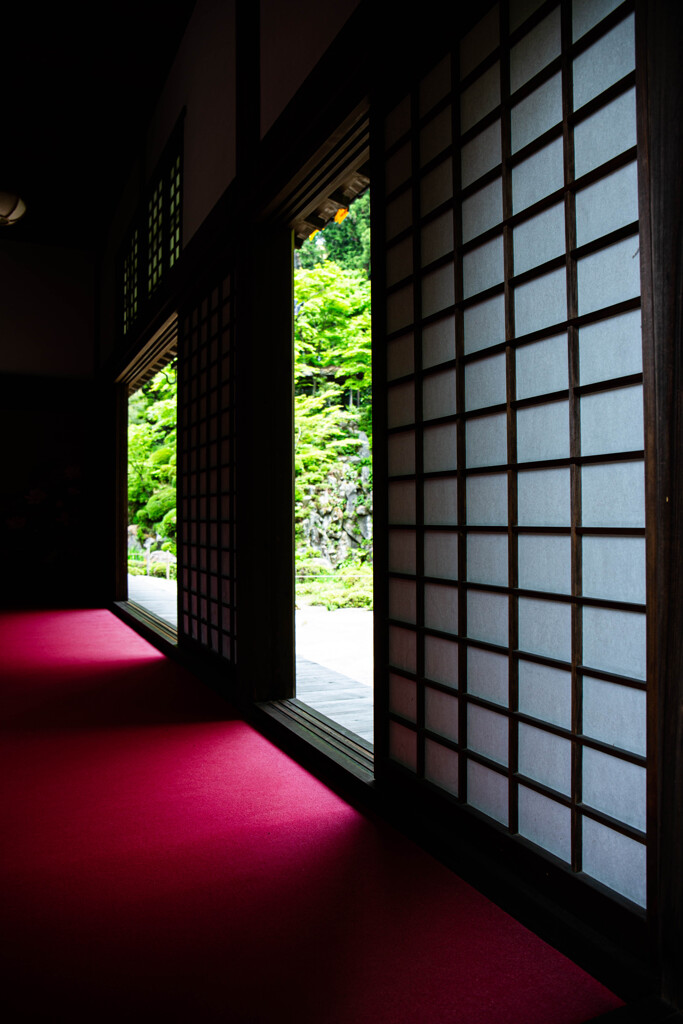 新緑の金剛輪寺にて　Ⅵ