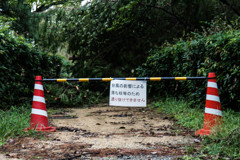 台風21号が残したもの　Ⅳ