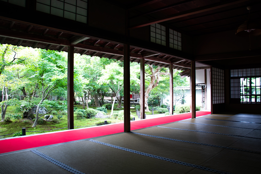 部屋から庭を。