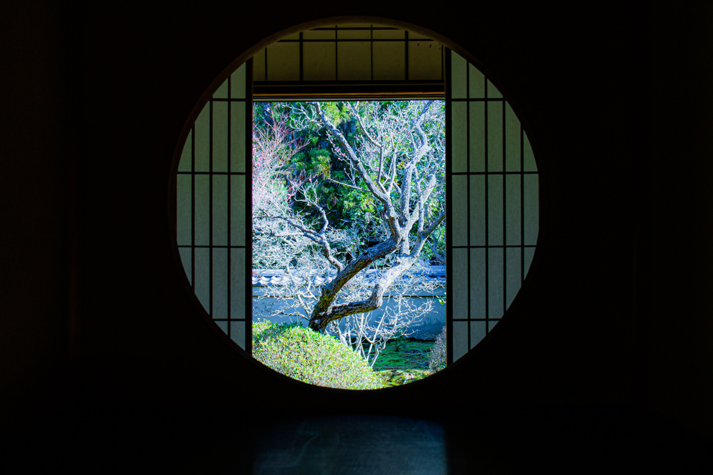 雲龍院・悟りの窓