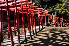 鳥居と影