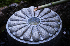 雲龍院の菊の御紋　Ⅱ