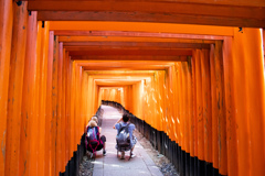 千本鳥居を撮る。