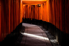 朝の光