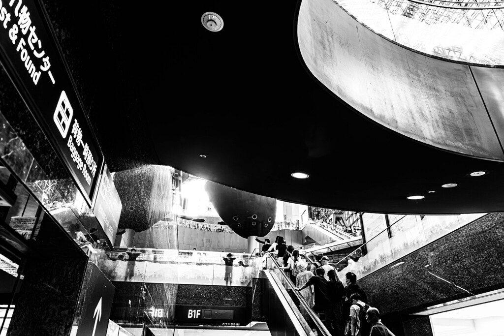 ドラマチックな京都駅　Ⅱ