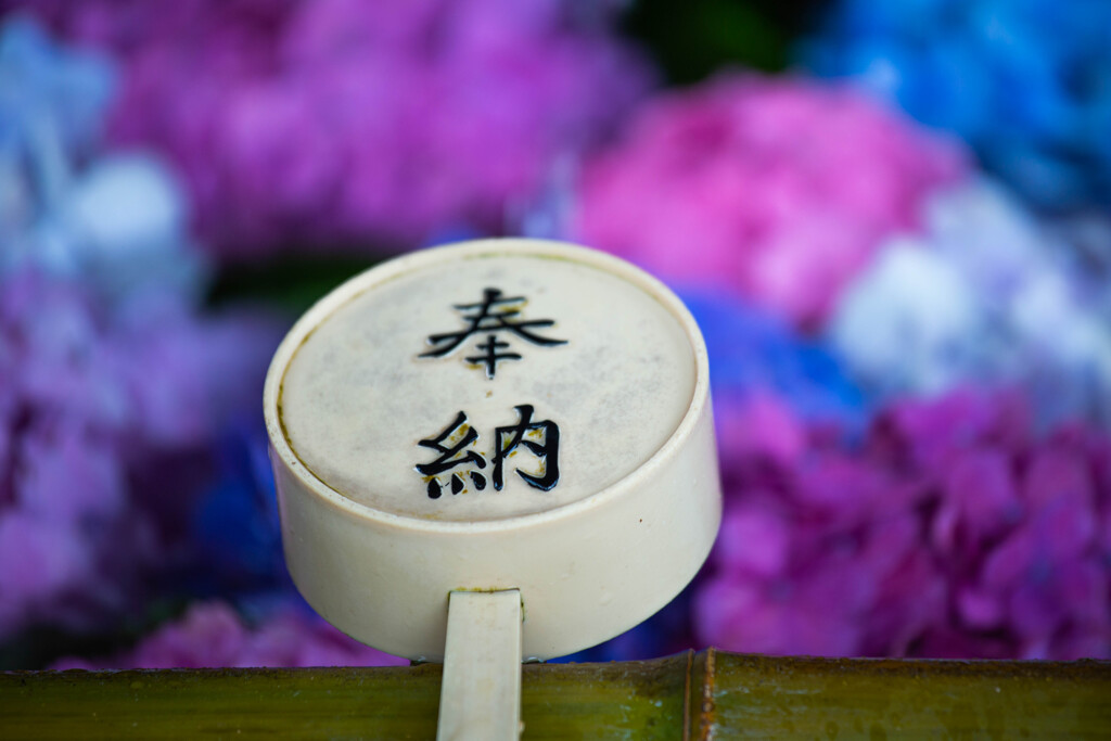 紫陽花のある手水鉢