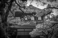 銀閣寺 Ⅱ　－Ginkakuji Temple