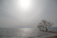 湖北の午後