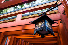 千本鳥居で。 千本鳥居で。