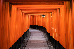 千本鳥居　Ⅳ