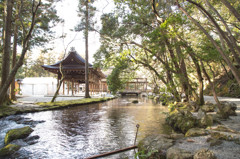 上賀茂神社にて。
