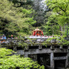 日吉大社・山王祭　⑦