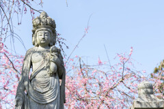 春_圓光寺十一面観音石像