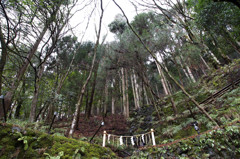 貴船の山