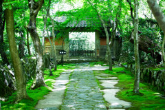 緑に染まる金剛輪寺赤門
