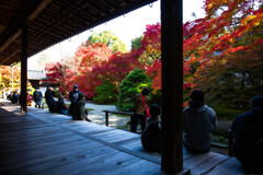 天授庵で愛でる紅葉　Ⅷ