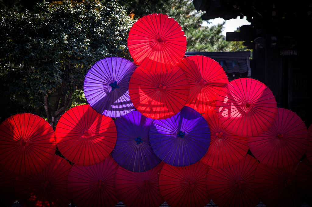 高台寺・波心庭Ⅲ