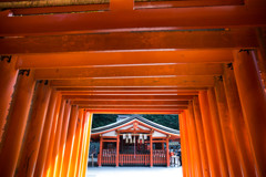 鳥居のトンネルを抜けると。