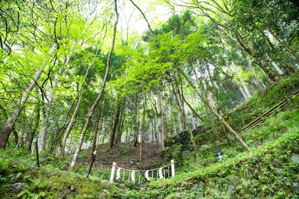 貴船の山　－春