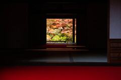 金剛輪寺で紅葉を切り撮る。
