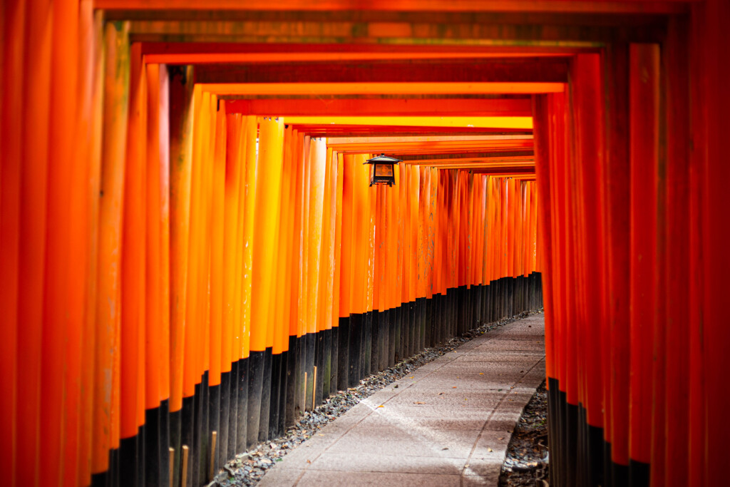 千本鳥居　Ⅶ