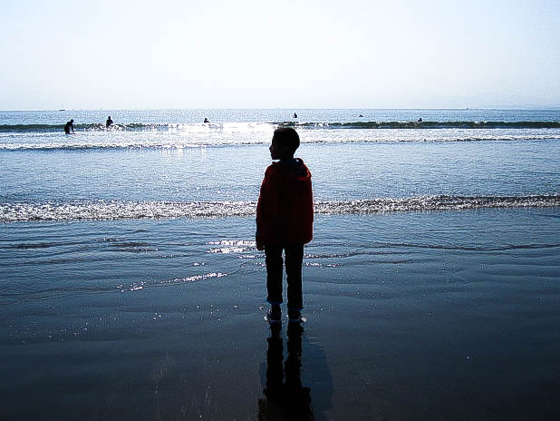 海
