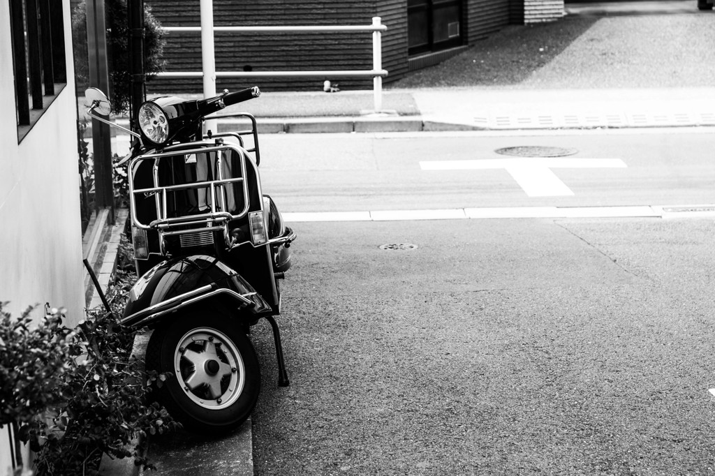 Aoyama Black/White 1