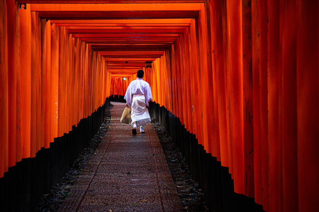 朝の千本鳥居で