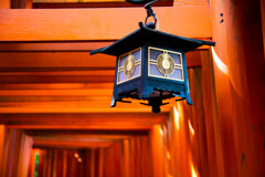 千本鳥居で　Ⅴ