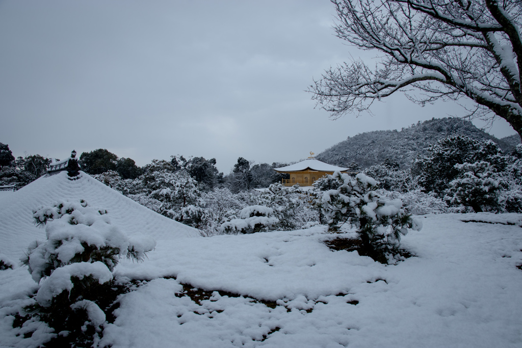 『雪の金閣寺』　⑤