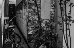 原宿スナップ　Ⅰ